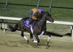 Ипподром Churchill Downs 2010 год, подготовка к Breeders' Cup Classic 