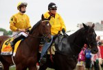 Ипподром Pimlico 2013 год, второй этап Тройной Короны - Preakness Stakes - Gr. 1