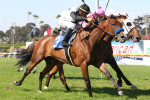 Ипподром Hollywood Park(закрыт) 2009 год, скачка Beverly Hills Handicap