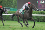 Ипподром Saratoga 2011 год, скачка Saranac Stakes