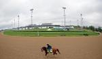 Ипподром Churchill Downs 2014 год, подготовка к первому этапу Тройной Короны - Kentucky Derby.