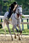 Ипподром Pimlico 2012 год, подготовка ко второму этапу Тройной Короны - Preakness Stakes.