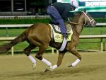 Ипподром Churchill Downs 2014 год, подготовка к первому этапу Тройной Короны - Kentucky Derby.