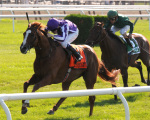 Америке. Ипподром Belmont Park 2011 год, скачка Man o' War Stakes - Gr. 1