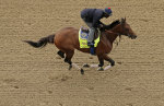 Ипподром Churchill Downs 2014 год, подготовка к первому этапу Тройной Короны - Kentucky Derby. 