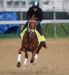 Ипподром Churchill Downs 2014 год, подготовка к первому этапу Тройной Короны - Kentucky Derby.