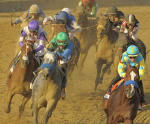 Ипподром Pimlico 2012 год, второй этап Тройной Короны - Preakness Stakes G1.