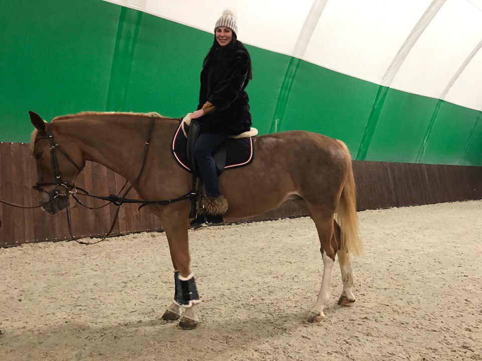 Голден хорс сайт. КСК Golden Horse. Голден Хорс Таганрог. Конный клуб Таганрог Голден Хорс. КСК Голден Хорс Таганрог конюшни.