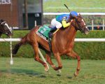 Ипподром Saratoga 2012 год, скачка Riskaverse Stakes
