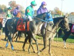 Ипподром Churchill Downs 2011 год, скачка Grey Goose Breeders' Cup Juvenile - Gr. 1