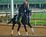 Ипподром Churchill Downs 2013 год, подготовка к первому этапу Тройной Короны - Kentucky Derby.