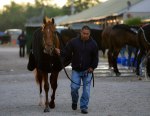 Churchill Downs 2014 год.