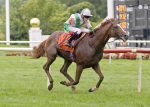 Ипподром Arlington 2011 год, скачка Arlington Million Stakes - Gr. 1