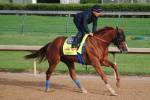 Ипподром Churchill Downs 2014 год, подготовка к первому этапу Тройной Короны - Kentucky Derby. 