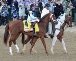 Ипподром Churchill Downs 2014 год, первый этап Тройной Короны - Kentucky Derby.