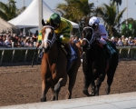 Ипподром Gulfstream Park 2010 год, скачка Bonnie Miss Stakes - Gr. 2 (1 место)