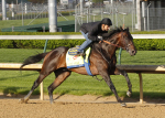 Ипподром Churchill Downs 2013 год, подготовка к Kentucky Derby - Gr. 1