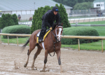 Ипподром Churchill Downs 2010 год, подготовка к первому этапу Тройной Короны - Kentucky Derby.