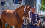 Santa Anita Park.