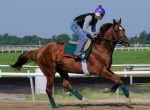 Fair Hill Training Center