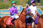 Ипподром Santa Anita Park 2013 год, скачка Golden State Juvenile Stakes, где Рыжий финишировал шестым.