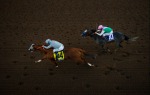 Ипподром Santa Anita Park 2016 год, скачка Breeder's Cup Classic G1