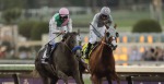 Ипподром Santa Anita Park 2016 год, скачка Breeder's Cup Classic G1