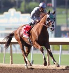 Ипподром Santa Anita Park 2016 год, скачка Awesome Again Stakes G1