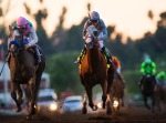 Ипподром Santa Anita Park 2016 год, скачка Breeder's Cup Classic G1