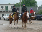 Ипподром Churchill Downs 2010 год, подготовка к первому этапу Тройной Короны - Kentucky Derby