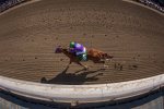 Ипподром Santa Anita Park, скачка Santa Anita Derby 2014 год