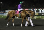 Ипподром Hollywood Park (закрыт) 2013 год, скачка King Glorious Stakes