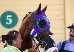 Паддок Santa Anita Park 2014 год. 