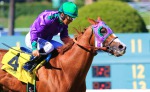 Ипподром Santa Anita Park 2014 год, скачка San Felipe Stakes G1