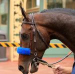 Santa Anita Park