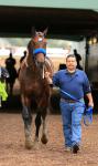 Santa Anita Park 2018 год.