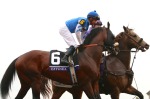 Ипподром Keeneland, скачка Breeders' Cup Classic (Gr. 1)