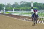 перед Belmont Stakes, Belmont Park 2015 год.