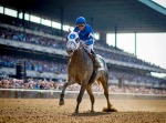 Ипподром Belmont Park, скачка Metropolitan Handicap (Gr. 1) 2016 год.