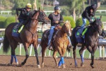 Santa Anita Park