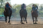 Ипподром Belmont Park, скачка Ruffian Stakes (Gr. 2) 2014 год.