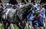 Ипподром Keeneland, скачка Breeder's Cup Classic 