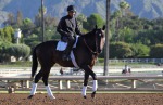 Santa Anita Park. 