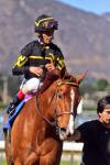 Ипподром Santa Anita Park, скачка Las Flores Stakes (Gr. 3) 2014 год.