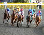 Ипподром Keeneland, скачка Madison Stakes (Gr. 1) 2014 год.