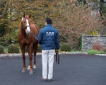 Coolmore Farm