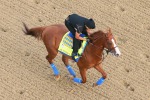 Ипподром Churchill Downs, 2018 год.