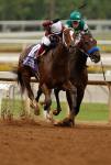 Ипподром Santa Anita Park, Breeders' Cup Distaff (Gr. 1) 2014 год.