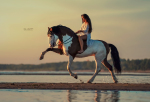 Фотограф Дикси Ларина. Финский залив и я с моей лошадью Лолитой в качестве модели.