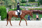 ЗНАХАРЬ-08 и Арсеньева Екатерина ЗНАХАРЬ-08 и Арсеньева Екатерина